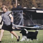 Teddy bi-black sheltie male